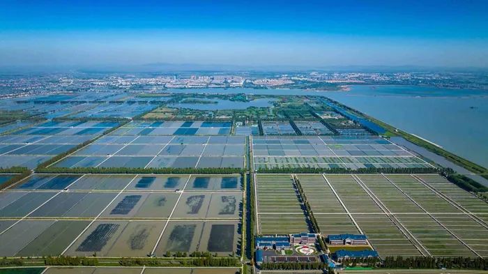 航拍高淳固城湖螃蟹核心區(qū)。高淳區(qū)融媒體中心供圖